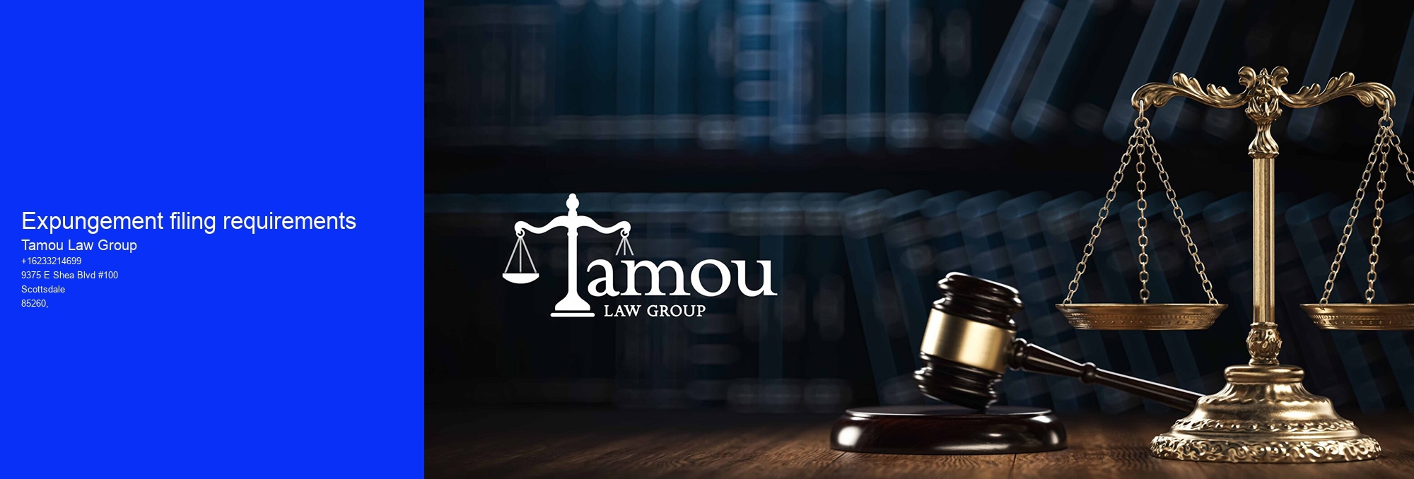 Expungement filing requirements